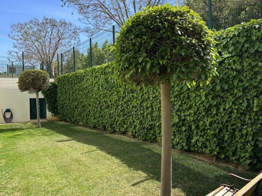 Three Bedroom Apartment, Prime Javea Location エクステリア 写真
